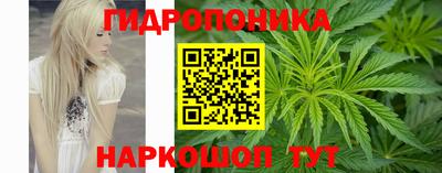 стаф Дубна