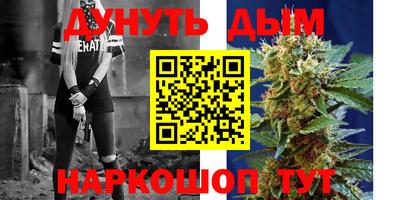 стаф Дубна