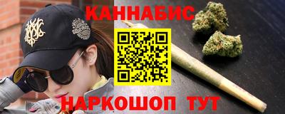 стаф Дубна
