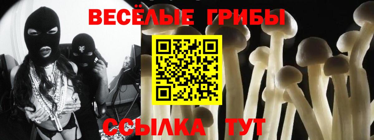 Псилоцибиновые грибы GOLDEN TEACHER Ишимбай